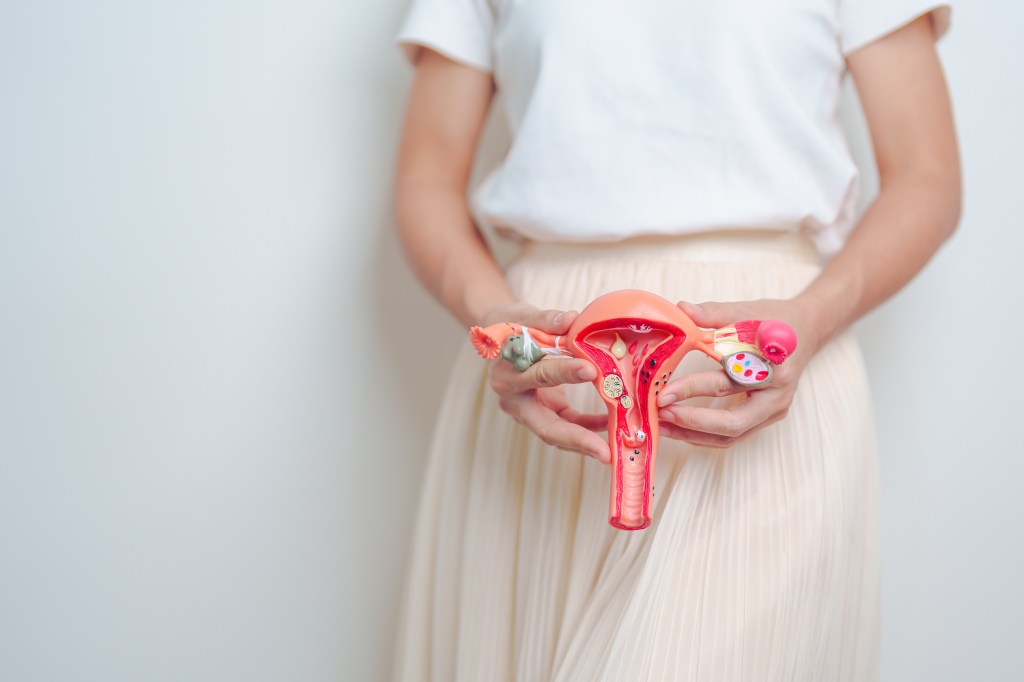 A woman holds up a model of her uterus and ovaries. 