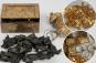 Hikers shocked to discover gold coins from 1800s — and they're worth a fortune: 'My jaw dropped'