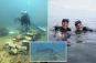 Haunting discovery found off coast of national park