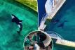 Orcas abandoned in shuttered marine park filmed in algae-infested pool months after closure: 'Must leave now'