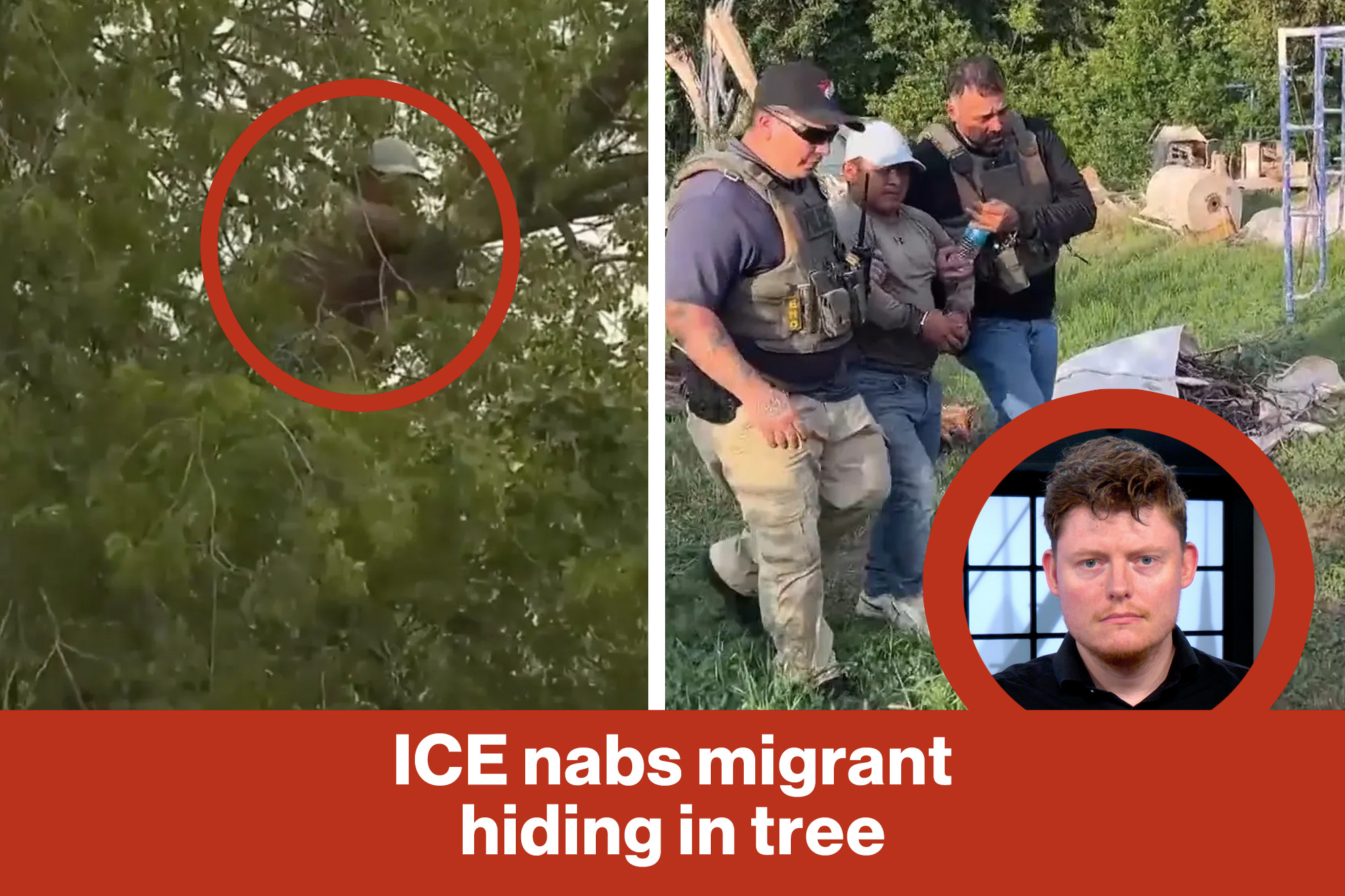 ICE nabs migrant hiding in tree | Reporter Replay