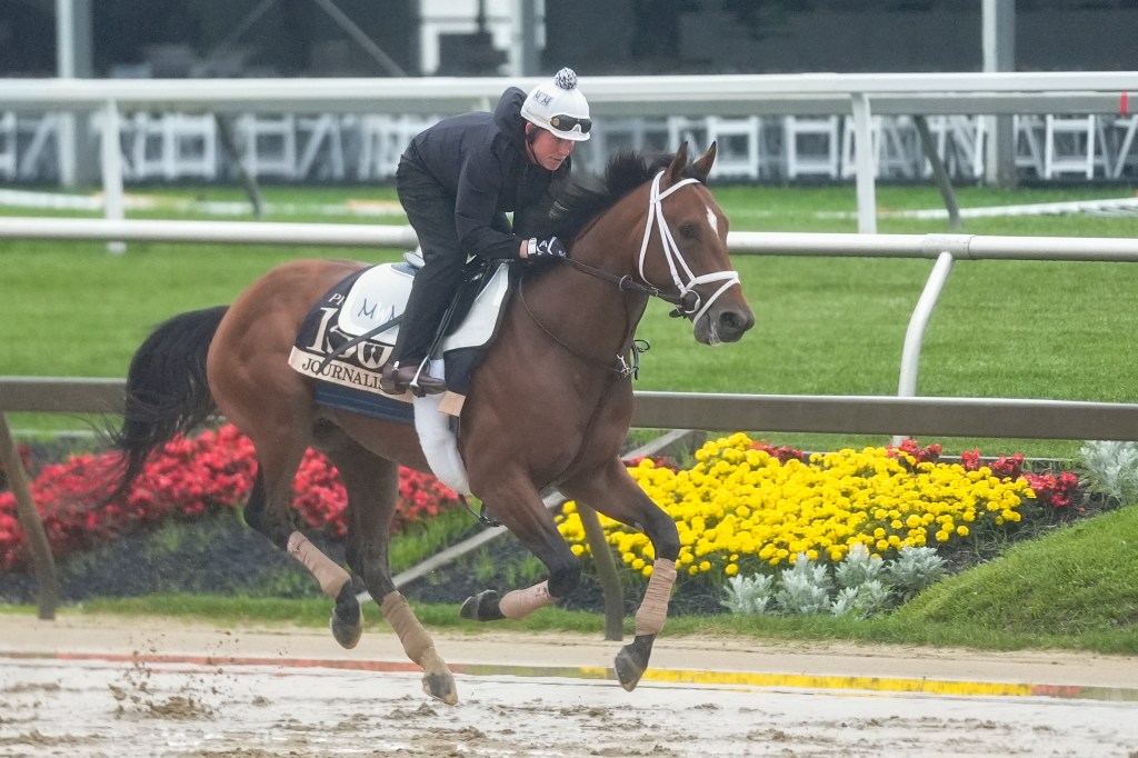 Preakness Stakes entry, Journalism breezes during morning workouts at Pimlico Race Course.