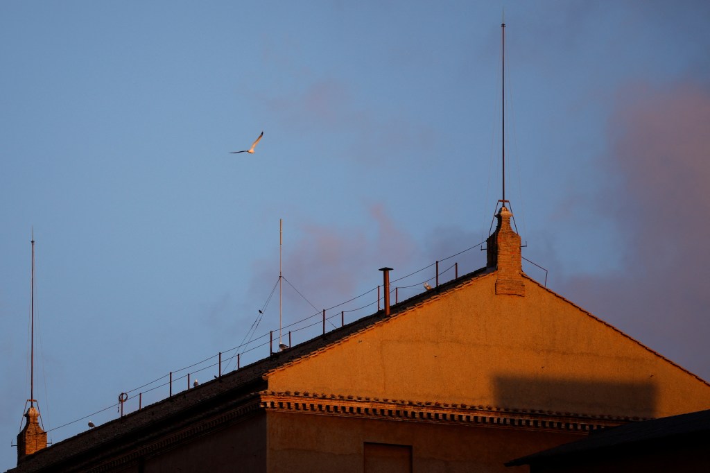 A bird flies near the chimney on the Sistine Chapel roof, on the second day of the conclave to elect the new pope at the Vatican.