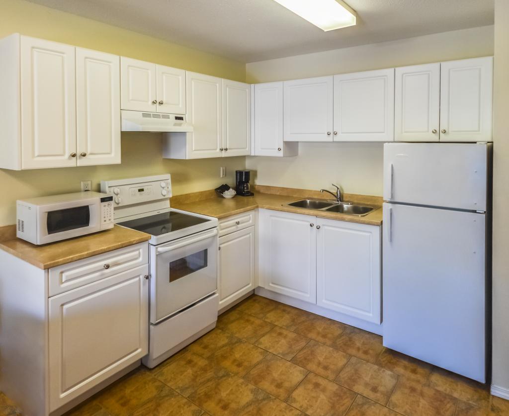 This kitchen could use windows to help clear the air from the stove.