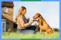 The smart dog collar, SATELLAI, is the biggest innovation in pet care right now