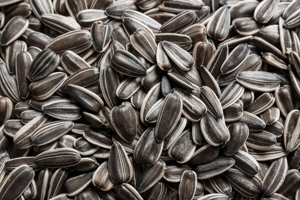 A close-up view of sunflower seeds forming a textured background.